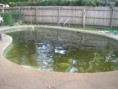 /album/photogallery/tempe-pool-before-jpg/